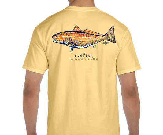 Phins-Redfish