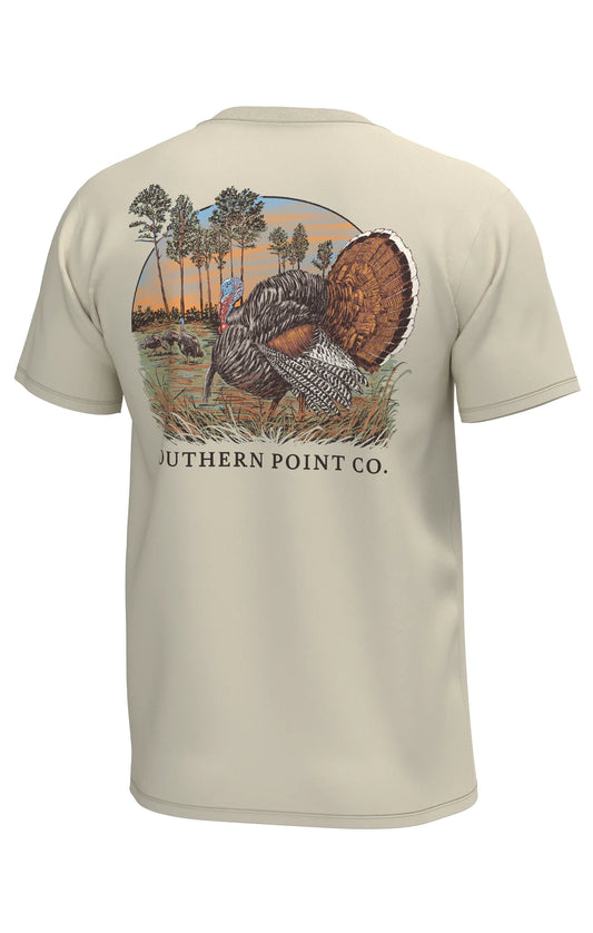 Southern Point- Tom's Field