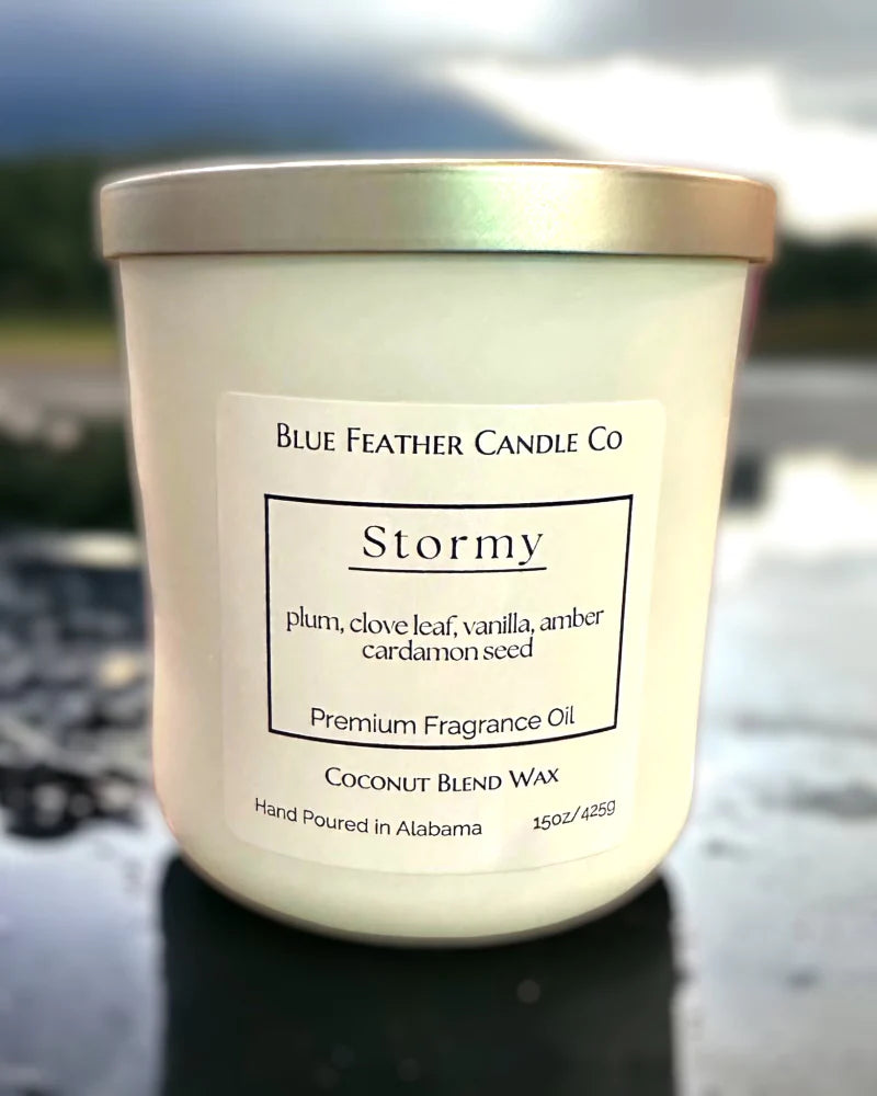Blue Feather Candle Co- Stormy