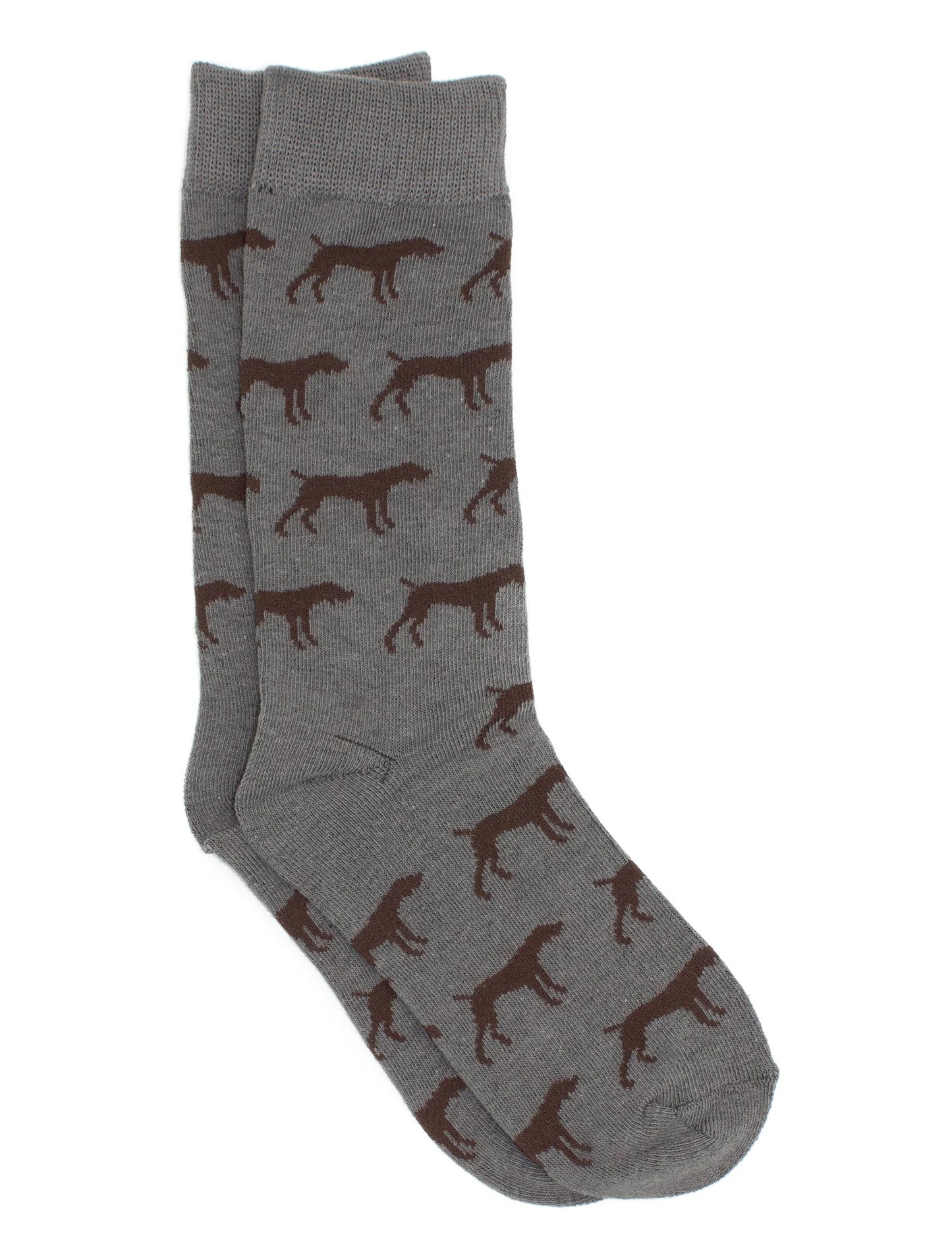 Properly Tied- Boys Lucky Duck Socks, Pointer